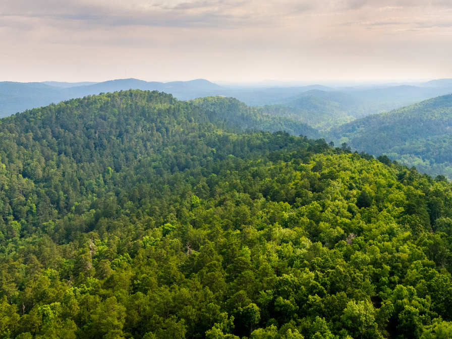 Arkansas Mortgage Lender