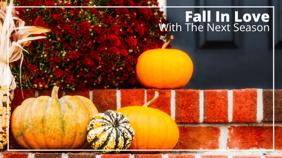 Fall in Love with the Next Season