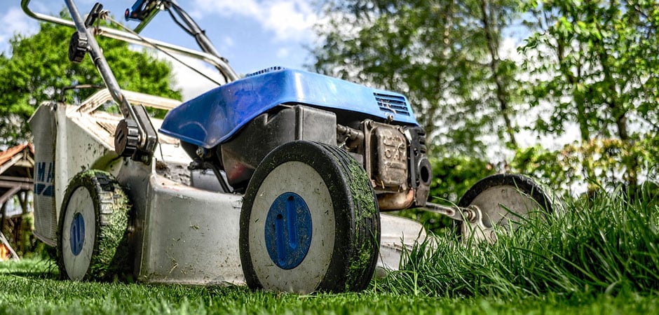 spring lawn care