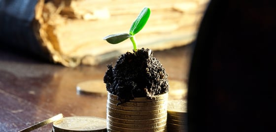 Set Up a Savings Plan to Grow Your Financial Security