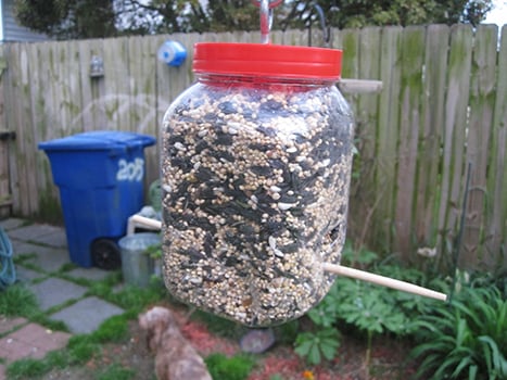 build-a-bird-feeder