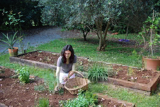 plant-a-garden