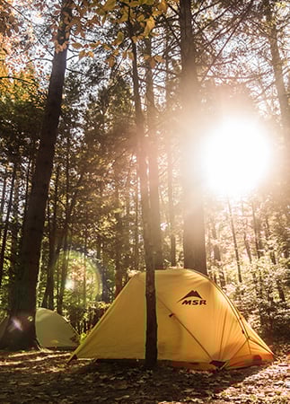 set up camp