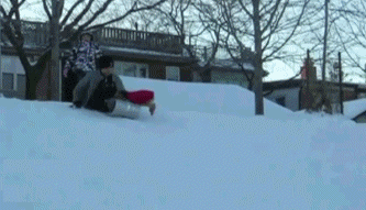 Sled Down the Biggest Hill