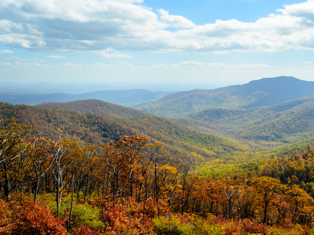 Virginia Mortgage Lender